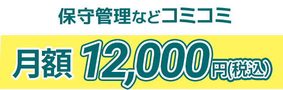 月額12,000円